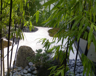 Zen Garden Orlando Bonsai