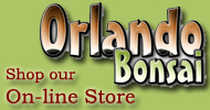 Orlando Bonsai Store