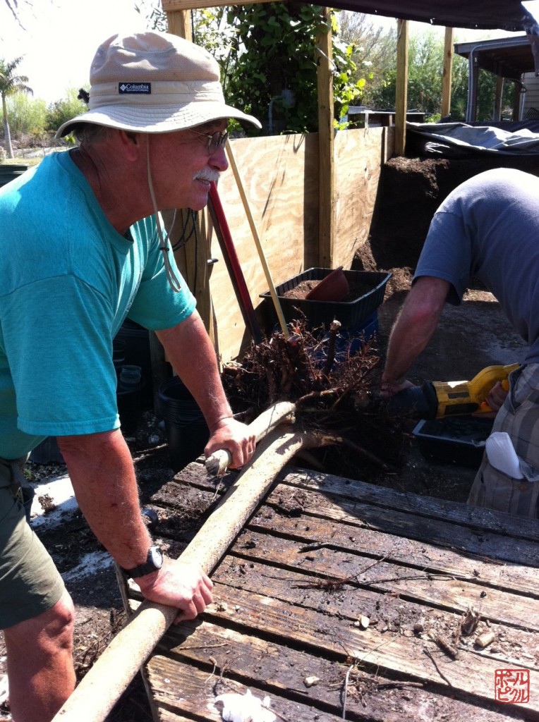Rick Jeffery Trimming roots