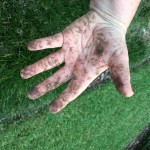 Dirty Hand